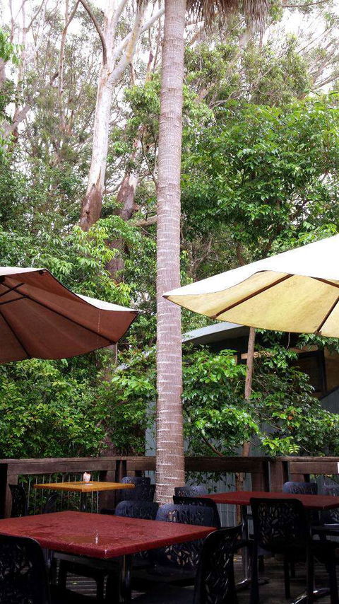 Rainforest Cafe - Redcliffe Tourism 0