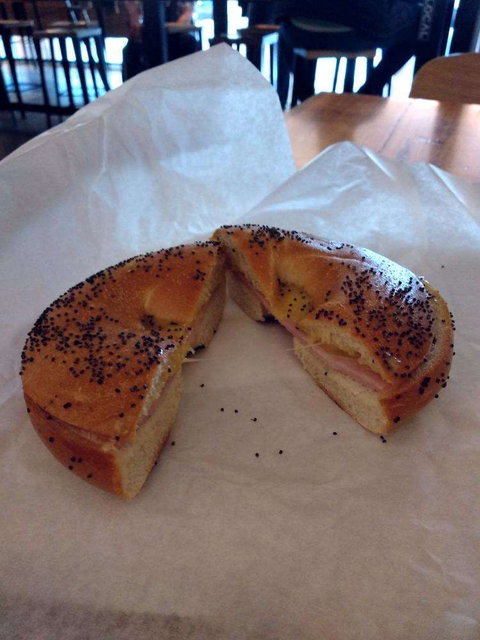 Toby's Estate - Redcliffe Tourism 0