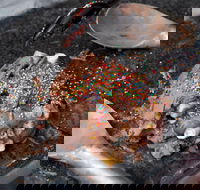 Cold Rock Ice Creamery - Surfers Paradise - Redcliffe Tourism