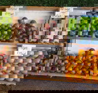 Melonhead - Redcliffe Tourism