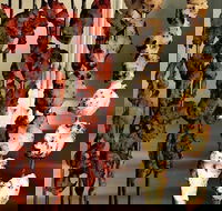 The Spice Yard - Redcliffe Tourism