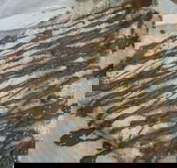 The Chocolate Well - Redcliffe Tourism