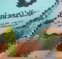 Juiced Life - Redcliffe Tourism