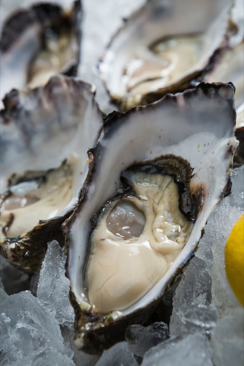 Lobster Shack Tasmania - Redcliffe Tourism 1