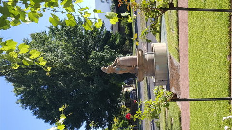 Michelini Wines - Redcliffe Tourism 1