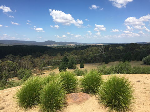 The Wine Collective - Redcliffe Tourism 0