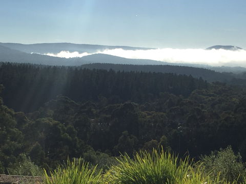 The Wine Collective - Redcliffe Tourism 1