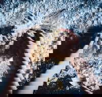 Mill  Bakery - Redcliffe Tourism