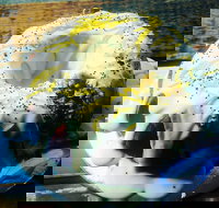 The Diver Cafe - Redcliffe Tourism