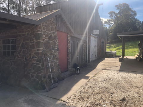 Wilmot Hills Orchard & Distillery - Redcliffe Tourism 1