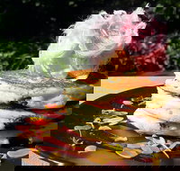 Darwin's - Redcliffe Tourism