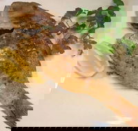 Sassone Cucina Italiana - Redcliffe Tourism