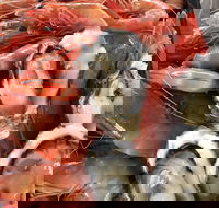 Mi Shells Seafood - Redcliffe Tourism