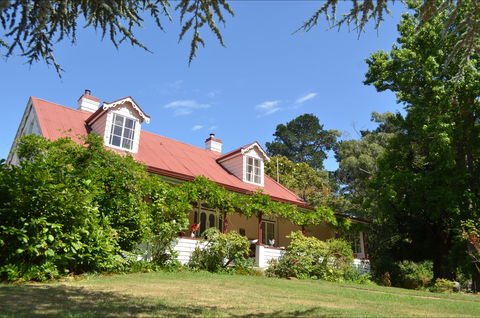 Lazy Teas - Redcliffe Tourism 0