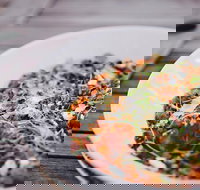 Camden Valley Inn - Redcliffe Tourism