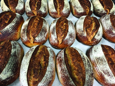 Farmer's Bakehouse - Redcliffe Tourism 0