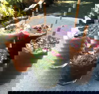 Garden Grub Cafe - Redcliffe Tourism