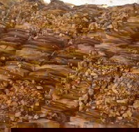 Kolachi - Redcliffe Tourism