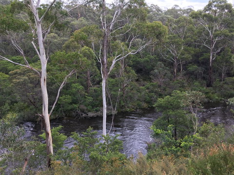Mongarlowe Gourmet - Redcliffe Tourism 2