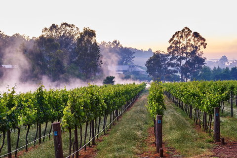 Millbrook Winery - Redcliffe Tourism 2