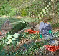 Sweet Water Farm - Redcliffe Tourism