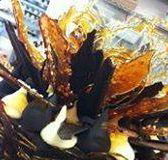 Daily Dose Cafe Wine Bar - Redcliffe Tourism