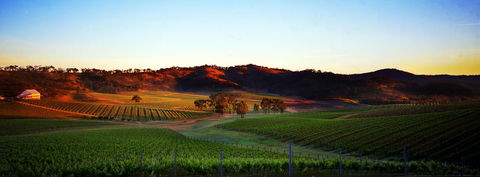 Dalwhinnie Wines - Redcliffe Tourism 0