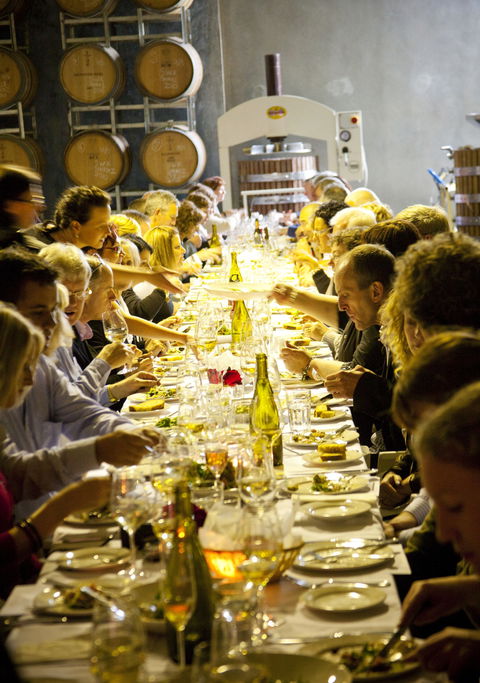 Dalwhinnie Wines - Redcliffe Tourism 2