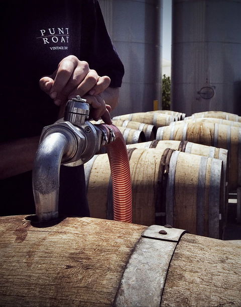 Punt Road Winery - Redcliffe Tourism 2
