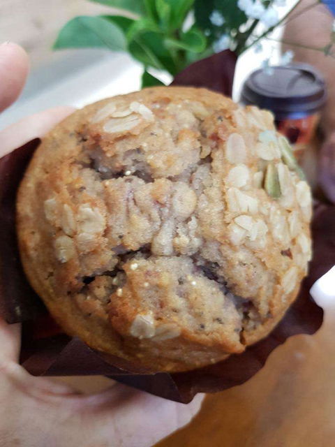 Woolworths Coffee Shop - Redcliffe Tourism 0