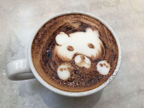 Plantation  - Cheltenham - Redcliffe Tourism 0