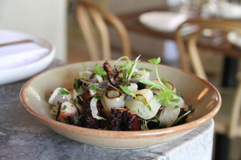 The Apollo - Redcliffe Tourism 0