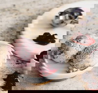 Gelatissimo - Watsons Bay - Redcliffe Tourism