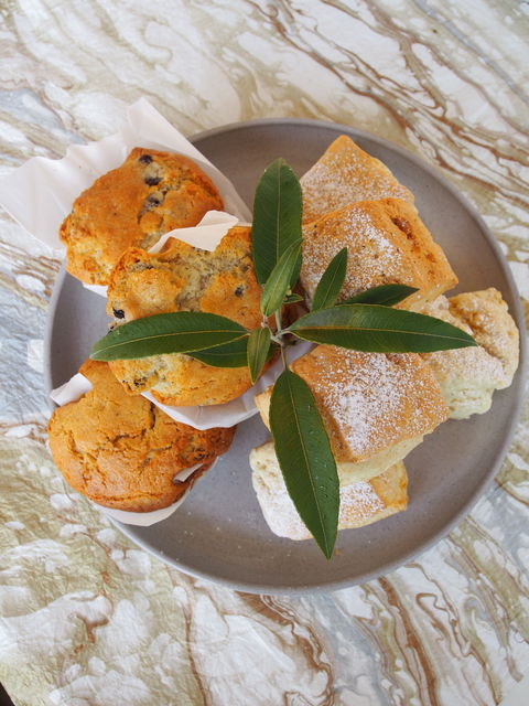 Paperbark Cafe At Kuranga Native Nursery - Redcliffe Tourism 1