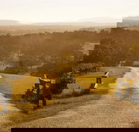 Petersons Wines - Redcliffe Tourism