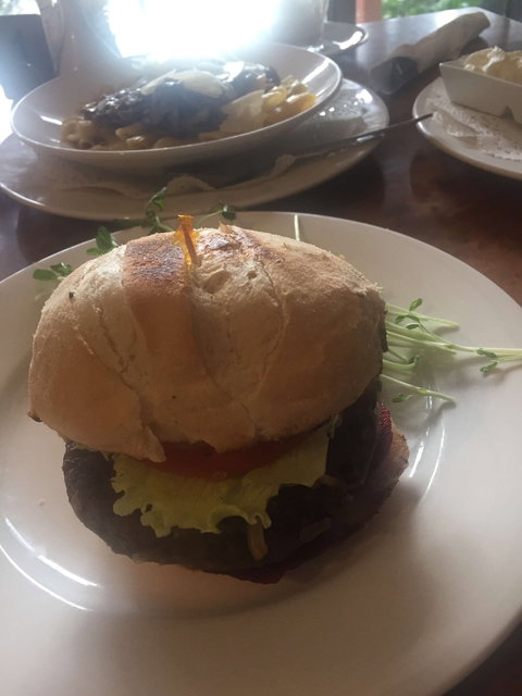 Scuttlebutt Cafe Restaurant - Redcliffe Tourism 0