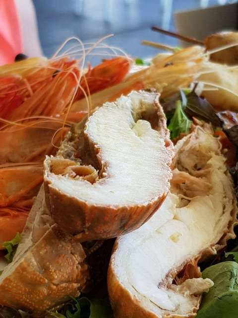 Bribie Island Surf Club - Redcliffe Tourism 0