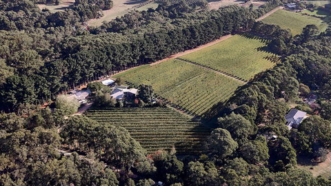 Main Ridge Estate - Redcliffe Tourism 1