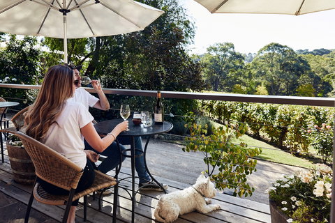 Main Ridge Estate - Redcliffe Tourism 2