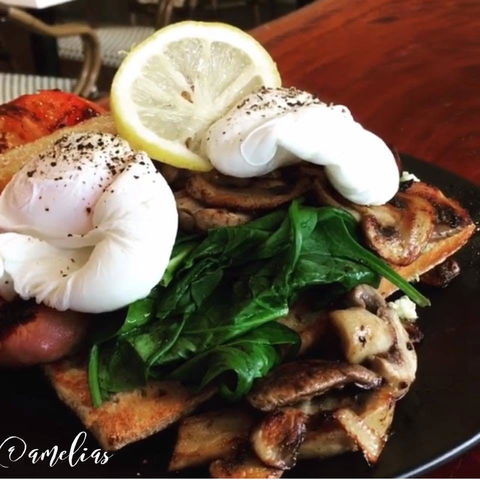 Amelia's Bakery - Redcliffe Tourism 0