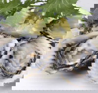 Coco's Riverside Bar  Restaurant - Redcliffe Tourism