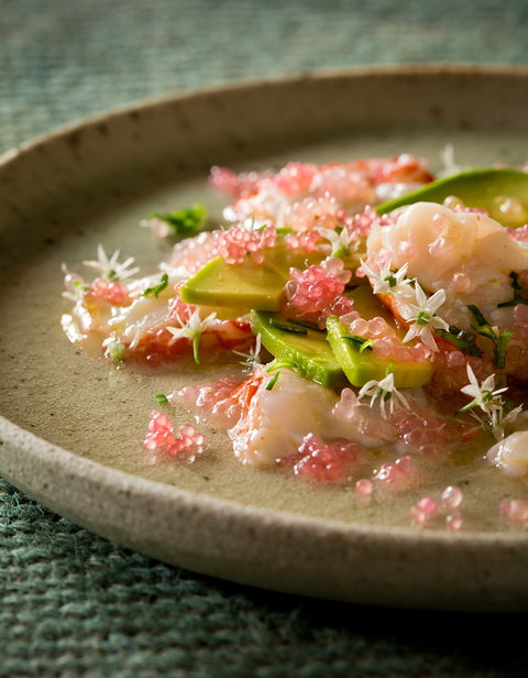 Foragers - Redcliffe Tourism 0