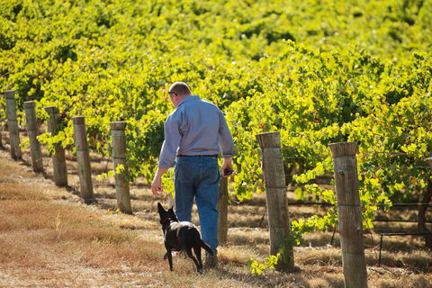 Eden Hall Wines - Redcliffe Tourism 1