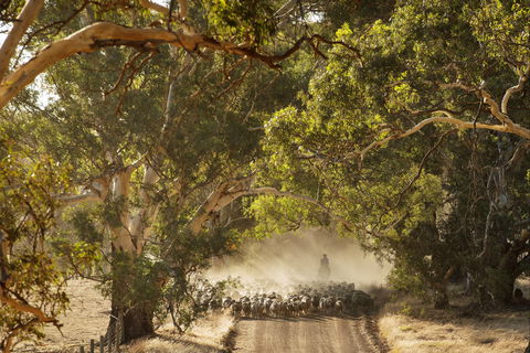 Eden Hall Wines - Redcliffe Tourism 2