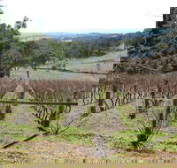 Habitat Vineyard - Redcliffe Tourism