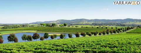 Yarrawood Estate - Redcliffe Tourism 2
