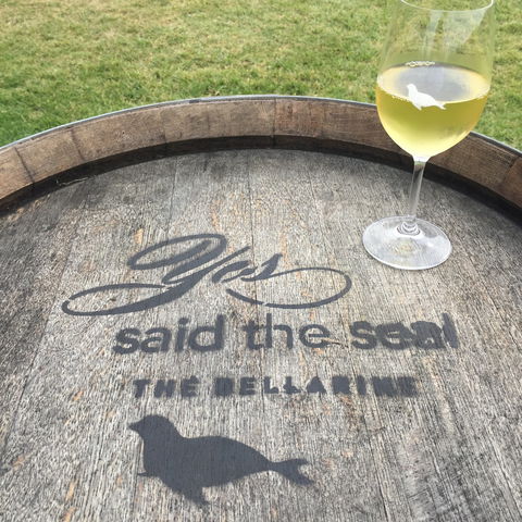 Yes Said The Seal - Redcliffe Tourism 1