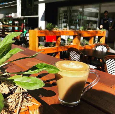 Apothecafe - Redcliffe Tourism 0