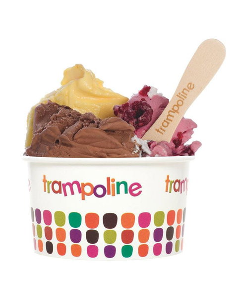 Trampoline Gelato - Doncaster - Redcliffe Tourism 0