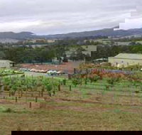 Villa d Esta Vineyard - Redcliffe Tourism